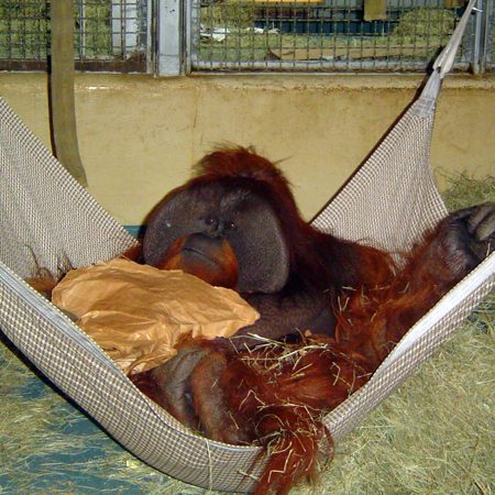 4' x 4' Heavy Duty Mesh Hammock